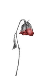 1783412160841.png